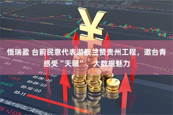 恒瑞盈 台前民意代表游毓兰赞贵州工程，邀台青感受“天眼”、大数据魅力
