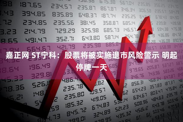嘉正网 ST宁科：股票将被实施退市风险警示 明起停牌一天