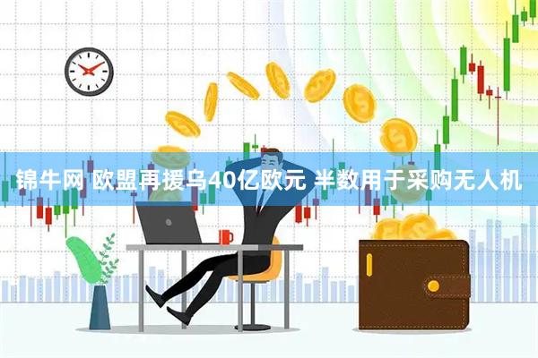 锦牛网 欧盟再援乌40亿欧元 半数用于采购无人机