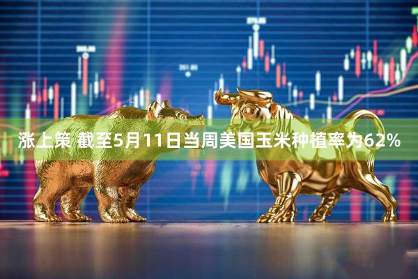 涨上策 截至5月11日当周美国玉米种植率为62%