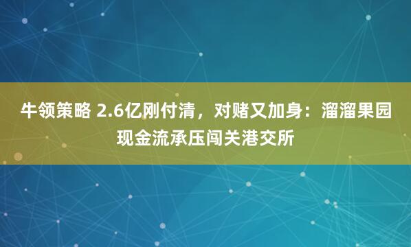 牛领策略 2.6亿刚付清，对赌又加身：溜溜果园现金流承压闯关港交所