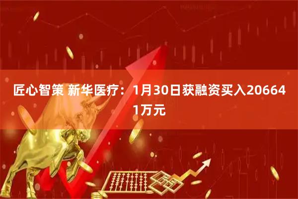 匠心智策 新华医疗：1月30日获融资买入206641万元